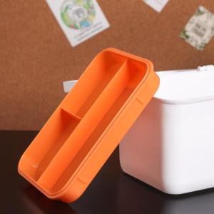 Аптечка с вкладышем 22×14,5×15 см, цвет МИКС Аптечка с вкладышем 22×14,5×15 см, цвет МИКС