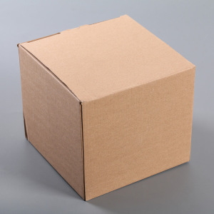 Держатель для туалетной бумаги 18×18×17 см (втулка 3 см), пластик, цвет белый Держатель для туалетной бумаги 18×18×17 см (втулка 3 см), пластик, цвет белый