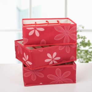 Набор органайзеров для белья «Листочки», 32×24×12 см, 3 шт, цвет красный Набор органайзеров для белья «Листочки», 32×24×12 см, 3 шт, цвет красный