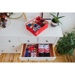 Набор органайзеров для белья «Листочки», 32×24×12 см, 3 шт, цвет красный Набор органайзеров для белья «Листочки», 32×24×12 см, 3 шт, цвет красный