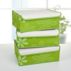 Набор органайзеров для белья с крышкой «Листочки», 32×24×12 см, 3 шт, цвет зелёный Набор органайзеров для белья с крышкой «Листочки», 32×24×12 см, 3 шт, цвет зелёный