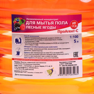Низкопенный концентрат для мытья пола 1:100 "Лесные ягоды" 5л Низкопенный концентрат для мытья пола 1:100 "Лесные ягоды" 5л