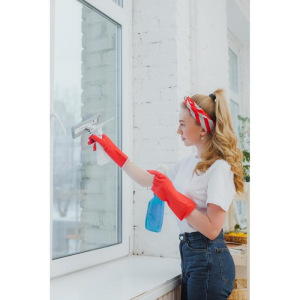 Окномойка с пульверизатором 230 мл и сгоном, 26×23×5,5 см, цвет МИКС Окномойка с пульверизатором 230 мл и сгоном, 26×23×5,5 см, цвет МИКС