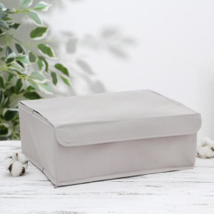 Органайзер для белья с крышкой «Тея», 13 ячеек , 32,5×24×12 см, цвет серый Органайзер для белья с крышкой «Тея», 13 ячеек , 32,5×24×12 см, цвет серый