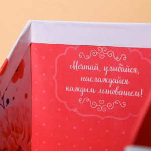 Органайзер канцелярский "Мечтай" Органайзер канцелярский "Мечтай"