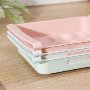 Полка для яиц в холодильник, подвесная, 12 ячеек, 26×17×5 см, цвет МИКС Полка для яиц в холодильник, подвесная, 12 ячеек, 26×17×5 см, цвет МИКС