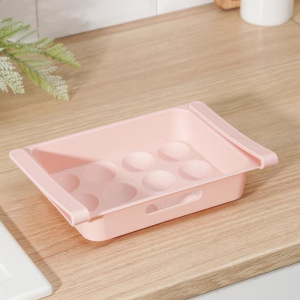 Полка для яиц в холодильник, подвесная, 12 ячеек, 26×17×5 см, цвет МИКС Полка для яиц в холодильник, подвесная, 12 ячеек, 26×17×5 см, цвет МИКС