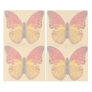 Приманка декоративная от мух "КАРАКУРТ СУПЕР", пакет, 4 наклейки (бабочка желто-оранжевая) Приманка декоративная от мух "КАРАКУРТ СУПЕР", пакет, 4 наклейки (бабочка желто-оранжевая)