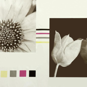 Штора для ванной комнаты Доляна «Белые цветы», 180×180 см, EVA Штора для ванной комнаты Доляна «Белые цветы», 180×180 см, EVA