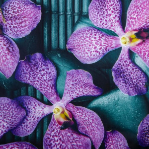 Штора для ванной комнаты Доляна «Камни и цветы», 180×180 см, полиэстер Штора для ванной комнаты Доляна «Камни и цветы», 180×180 см, полиэстер