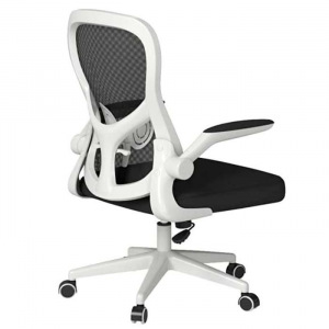 Кресло компьютерное Xiaomi HBADA Ergonomic Double-waisted Waist Computer Chair (белый) Кресло компьютерное Xiaomi HBADA Ergonomic Double-waisted Waist Computer Chair (белый)
