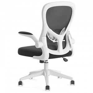 Кресло компьютерное Xiaomi HBADA Ergonomic Double-waisted Waist Computer Chair (белый) Кресло компьютерное Xiaomi HBADA Ergonomic Double-waisted Waist Computer Chair (белый)