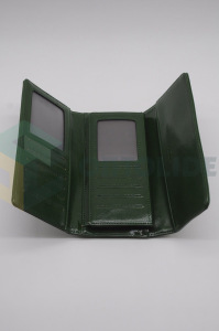 Кошелек зеленый # 01 Кошелек зеленый # 01