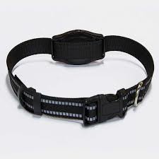 Ошейник с gps трекером D79 Ошейник с gps трекером D79