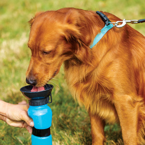 Поилка для собак Aqua Dog Поилка для собак Aqua Dog