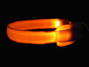 Светящийся ошейник для собак и кошек регулируемый Светящийся ошейник для собак и кошек регулируемый