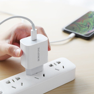 Зарядное устройство BOROFONE BA38A Speedy Type-C, 3A, белый, с кабелем BX36 Lightning PD Зарядное устройство BOROFONE BA38A Speedy Type-C, 3A, белый, с кабелем BX36 Lightning PD