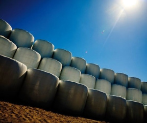 Агрострейч (Стрейч пленка для упаковки сенажа) Агрострейч (Стрейч пленка для упаковки сенажа)