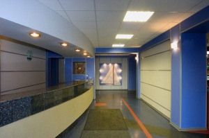 Гипсовинил – панели на основе гипсокартона толщиной 12,5мм с нанесением износостойкого покрытия Durafort (Дюрафорт Гипсовинил – панели на основе гипсокартона толщиной 12,5мм с нанесением износостойкого покрытия Durafort (Дюрафорт