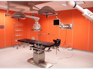 Трудногорючая стеновая панель покрытая HPL пластиком (категория Г1) Трудногорючая стеновая панель покрытая HPL пластиком (категория Г1)