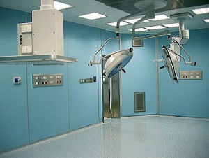 Трудногорючая стеновая панель покрытая HPL пластиком (категория Г1) Трудногорючая стеновая панель покрытая HPL пластиком (категория Г1)