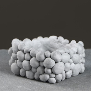 Бонсайницы 10,5 х 10,5 х 5,5 см Бонсайницы 10,5 х 10,5 х 5,5 см