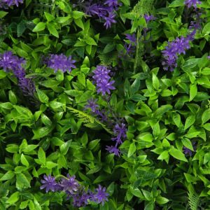 Декоративная панель, 40 × 60 см, «Васильковый луг» Декоративная панель, 40 × 60 см, «Васильковый луг»