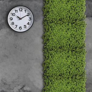 Декоративная панель, 40 × 60 см, «Высокий мох» Декоративная панель, 40 × 60 см, «Высокий мох»