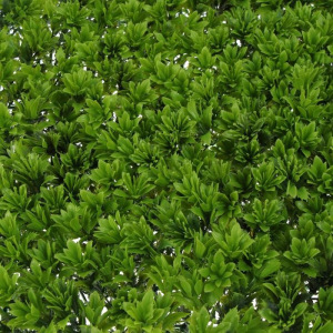 Декоративная панель, 40 × 60 см, «Высокий мох» Декоративная панель, 40 × 60 см, «Высокий мох»