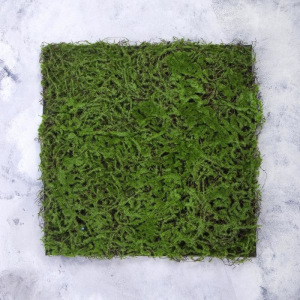 Декоративная панель, 50 × 50 см, «Мох» Декоративная панель, 50 × 50 см, «Мох»