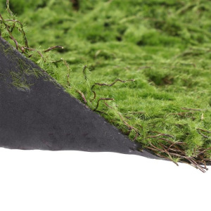 Декоративная панель, 50 × 50 см, «Мох» Декоративная панель, 50 × 50 см, «Мох»