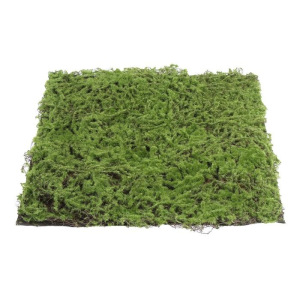 Декоративная панель, 50 × 50 см, «Мох» Декоративная панель, 50 × 50 см, «Мох»