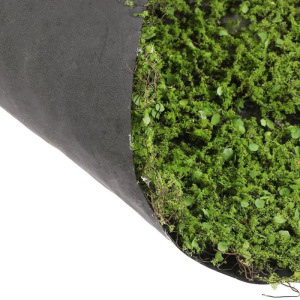 Декоративная панель, d = 35 см, «Мох с ряской» Декоративная панель, d = 35 см, «Мох с ряской»