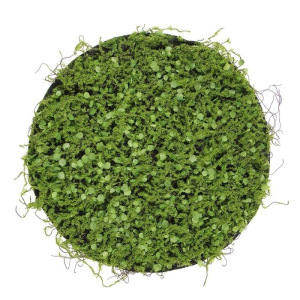 Декоративная панель, d = 35 см, «Мох с ряской» Декоративная панель, d = 35 см, «Мох с ряской»