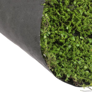 Декоративная панель, d = 50 см, «Мох с ряской» Декоративная панель, d = 50 см, «Мох с ряской»