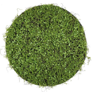 Декоративная панель, d = 50 см, «Мох с ряской» Декоративная панель, d = 50 см, «Мох с ряской»