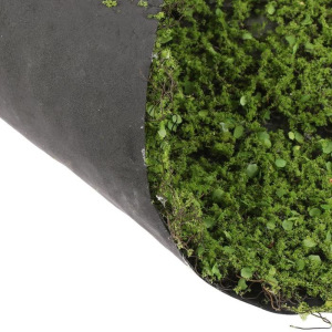Декоративная панель, d = 60 см, «Мох с ряской» Декоративная панель, d = 60 см, «Мох с ряской»