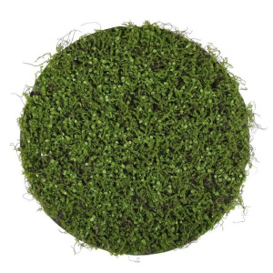 Декоративная панель, d = 60 см, «Мох с ряской» Декоративная панель, d = 60 см, «Мох с ряской»