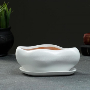 Фигурное кашпо "Бонсай" малый 14х18см , белый Фигурное кашпо "Бонсай" малый 14х18см , белый