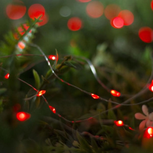 Гирлянда "Нить" 10 м роса, серебристая нить, 100 LED, свечение красное, 2 режима, солнечная батарея Гирлянда "Нить" 10 м роса, серебристая нить, 100 LED, свечение красное, 2 режима, солнечная батарея