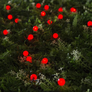 Гирлянда "Нить" 4.5 м с насадками "Шарики", IP44, тёмная нить, 30 LED, свечение красное, 2 режима, солнечная батарея Гирлянда "Нить" 4.5 м с насадками "Шарики", IP44, тёмная нить, 30 LED, свечение красное, 2 режима, солнечная батарея