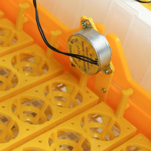 Инкубатор бытовой, на 56 яиц, автоматический переворот, 220 В, с кормушкой, поилкой, овоскопом, NIKA Инкубатор бытовой, на 56 яиц, автоматический переворот, 220 В, с кормушкой, поилкой, овоскопом, NIKA