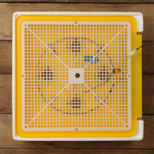 Инкубатор бытовой, на 56 яиц, автоматический переворот, 220 В, с кормушкой, поилкой, овоскопом, NIKA Инкубатор бытовой, на 56 яиц, автоматический переворот, 220 В, с кормушкой, поилкой, овоскопом, NIKA