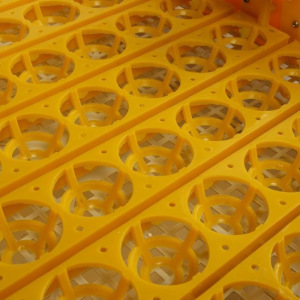 Инкубатор бытовой, на 56 яиц, автоматический переворот, 220 В, с кормушкой, поилкой, овоскопом, NIKA Инкубатор бытовой, на 56 яиц, автоматический переворот, 220 В, с кормушкой, поилкой, овоскопом, NIKA