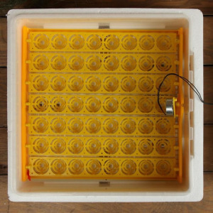 Инкубатор бытовой, на 56 яиц, автоматический переворот, 220 В, с кормушкой, поилкой, овоскопом, NIKA Инкубатор бытовой, на 56 яиц, автоматический переворот, 220 В, с кормушкой, поилкой, овоскопом, NIKA