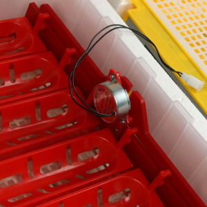 Инкубатор бытовой, на 60 яиц, автоматический переворот, 220 В, с кормушкой, поилкой, овоскопом, NIKA Инкубатор бытовой, на 60 яиц, автоматический переворот, 220 В, с кормушкой, поилкой, овоскопом, NIKA