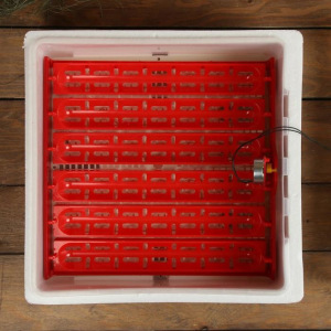 Инкубатор бытовой, на 60 яиц, автоматический переворот, 220 В, с кормушкой, поилкой, овоскопом, NIKA Инкубатор бытовой, на 60 яиц, автоматический переворот, 220 В, с кормушкой, поилкой, овоскопом, NIKA