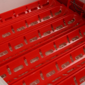 Инкубатор бытовой, на 60 яиц, автоматический переворот, 220 В, с кормушкой, поилкой, овоскопом, NIKA Инкубатор бытовой, на 60 яиц, автоматический переворот, 220 В, с кормушкой, поилкой, овоскопом, NIKA