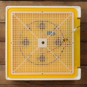 Инкубатор бытовой, на 60 яиц, автоматический переворот, 220 В, с кормушкой, поилкой, овоскопом, NIKA Инкубатор бытовой, на 60 яиц, автоматический переворот, 220 В, с кормушкой, поилкой, овоскопом, NIKA