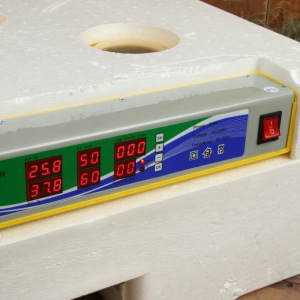 Инкубатор бытовой, на 63 яйца, автоматический переворот, 220 В, с кормушкой, поилкой, овоскопом, NIKA Инкубатор бытовой, на 63 яйца, автоматический переворот, 220 В, с кормушкой, поилкой, овоскопом, NIKA